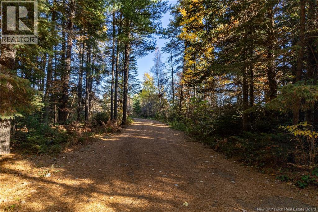 12601 Route 114, Penobsquis, New Brunswick  E4G 2X6 - Photo 30 - NB128248