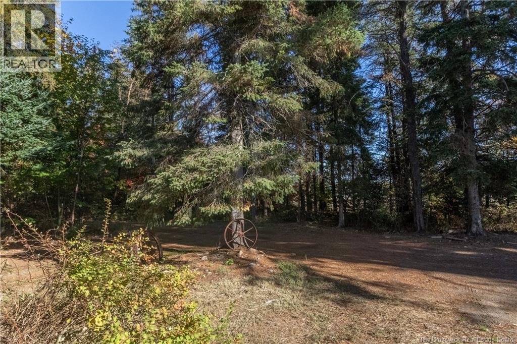 12601 Route 114, Penobsquis, New Brunswick  E4G 2X6 - Photo 31 - NB128248