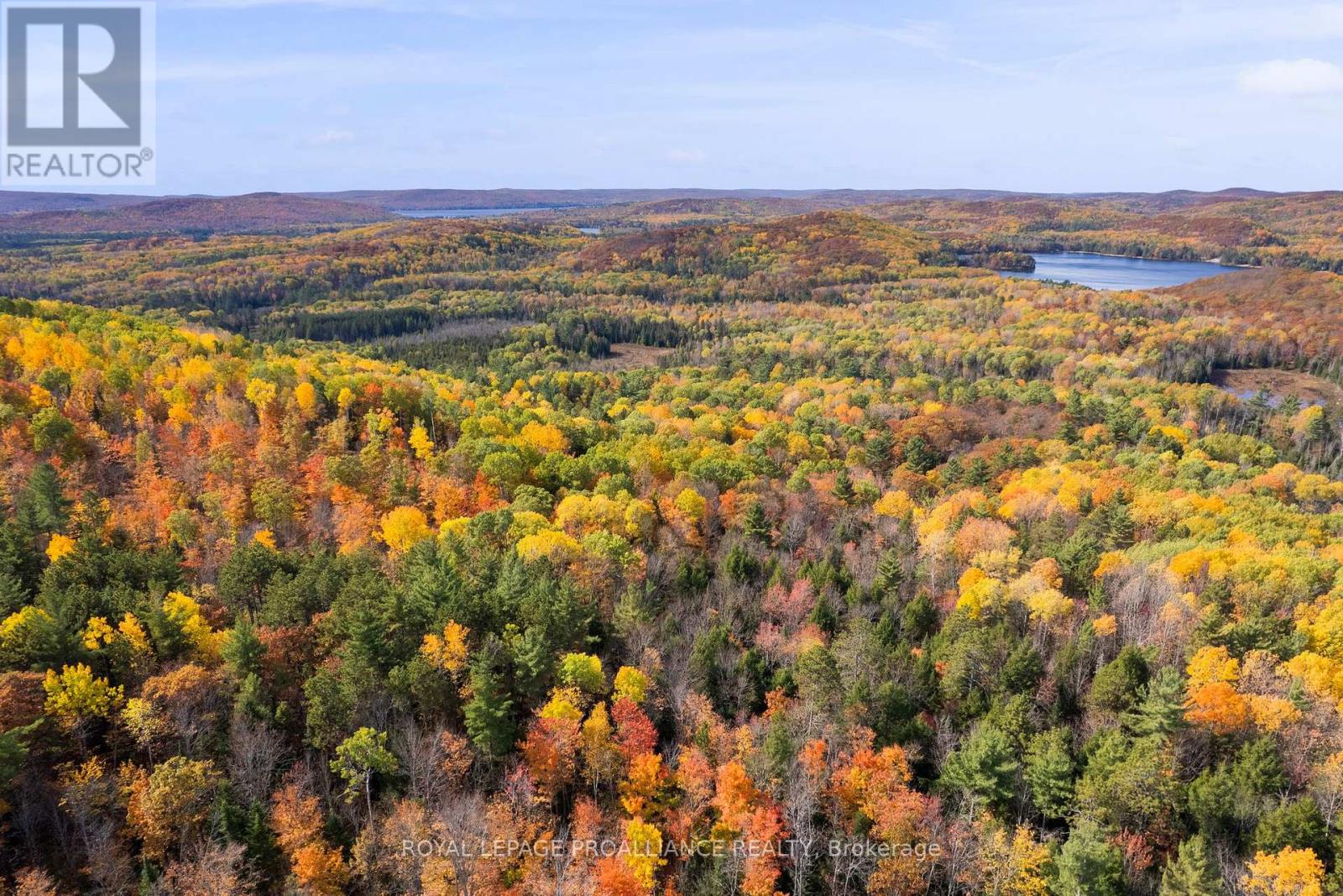732 Old Barry's Bay Road, Madawaska Valley, Ontario  K0J 1B0 - Photo 11 - X12463743