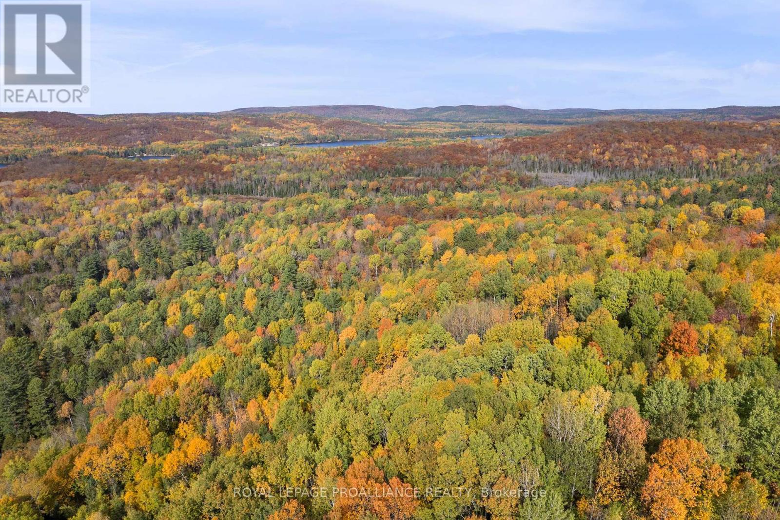 732 Old Barry's Bay Road, Madawaska Valley, Ontario  K0J 1B0 - Photo 14 - X12463743