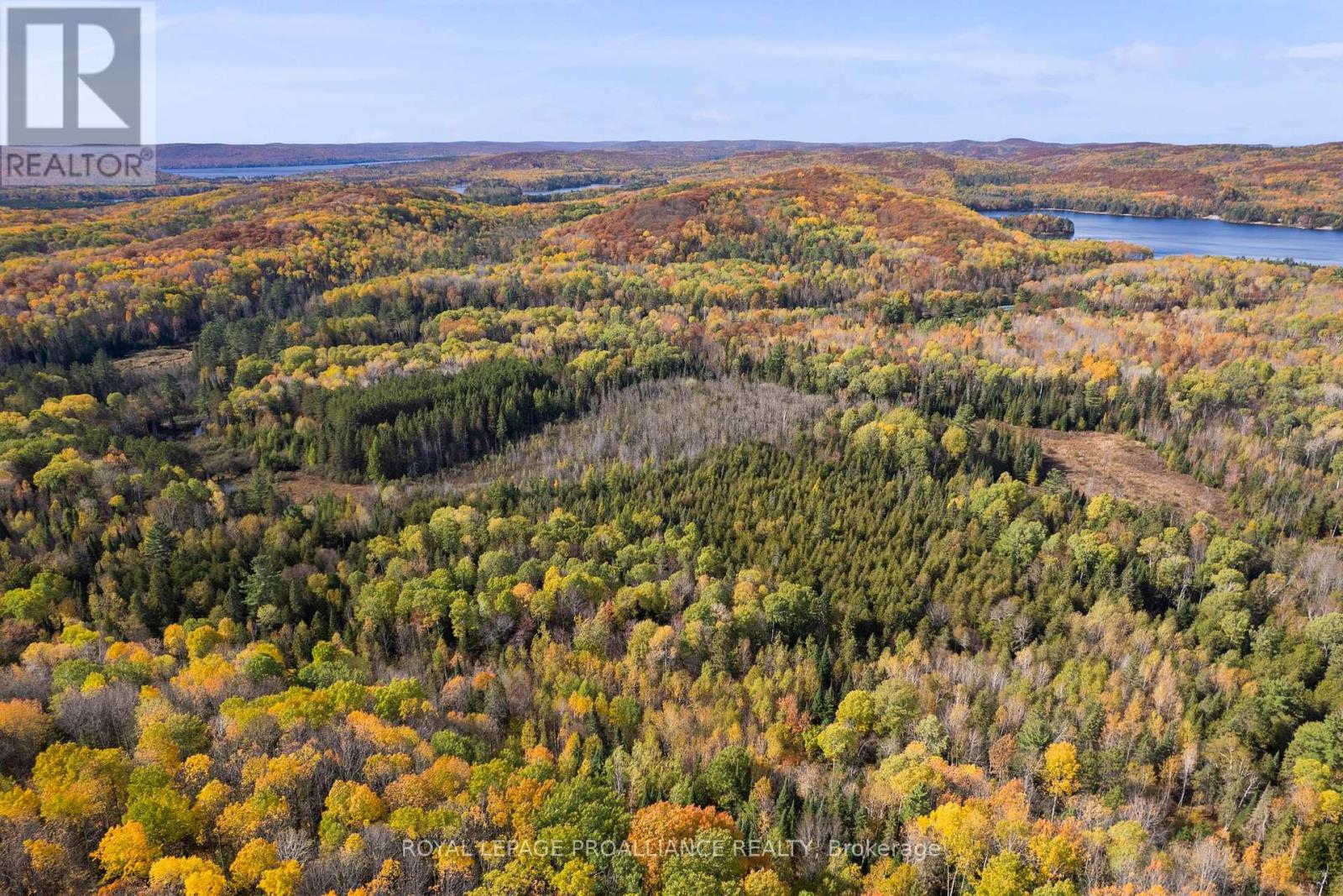 732 Old Barry's Bay Road, Madawaska Valley, Ontario  K0J 1B0 - Photo 15 - X12463743