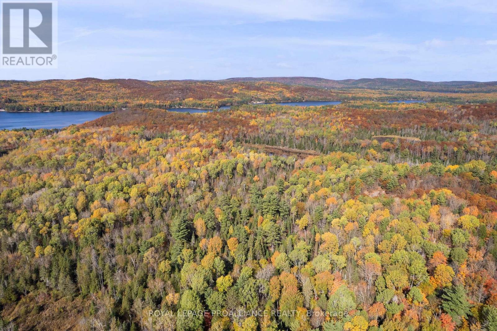 732 Old Barry's Bay Road, Madawaska Valley, Ontario  K0J 1B0 - Photo 16 - X12463743