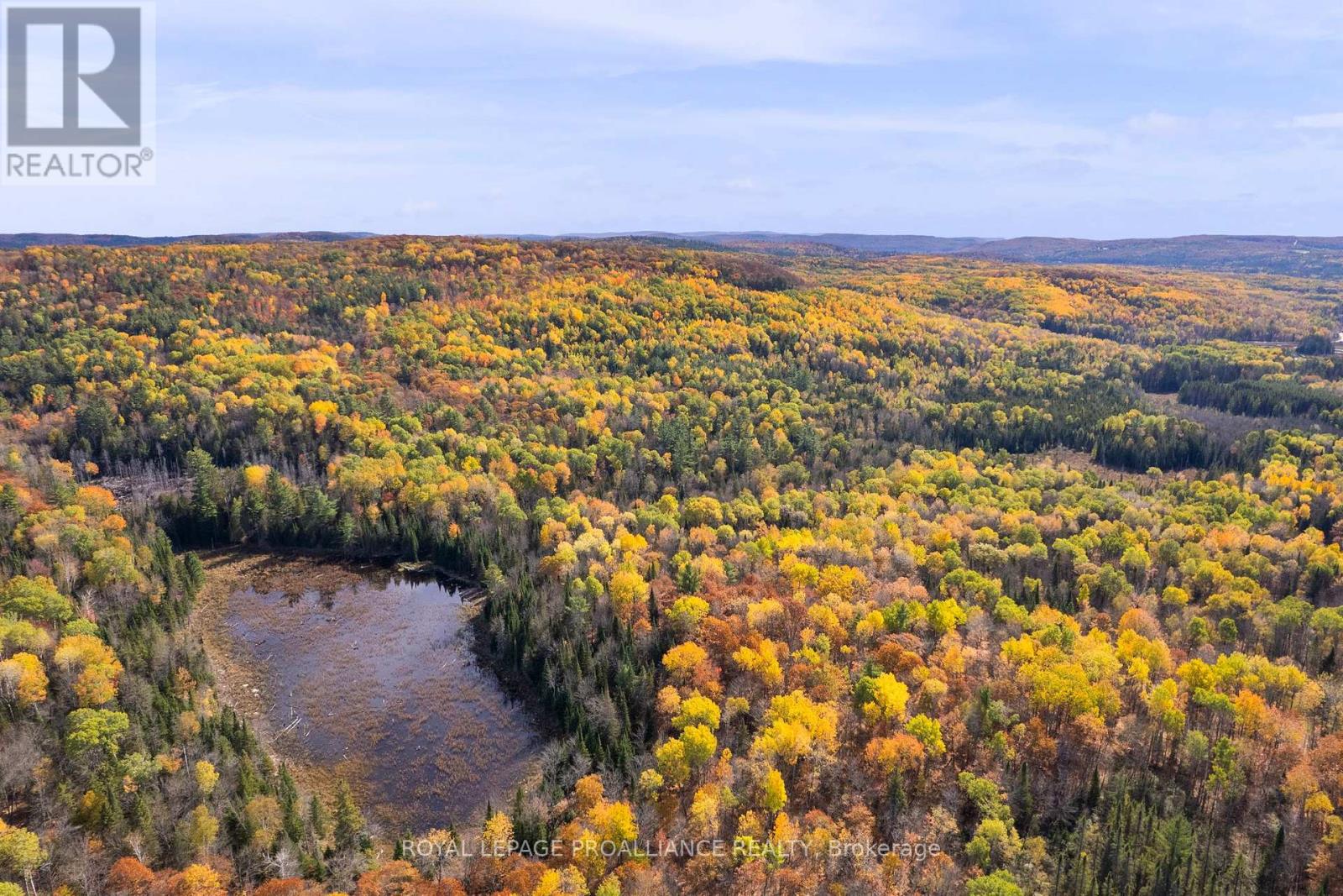 732 Old Barry's Bay Road, Madawaska Valley, Ontario  K0J 1B0 - Photo 17 - X12463743