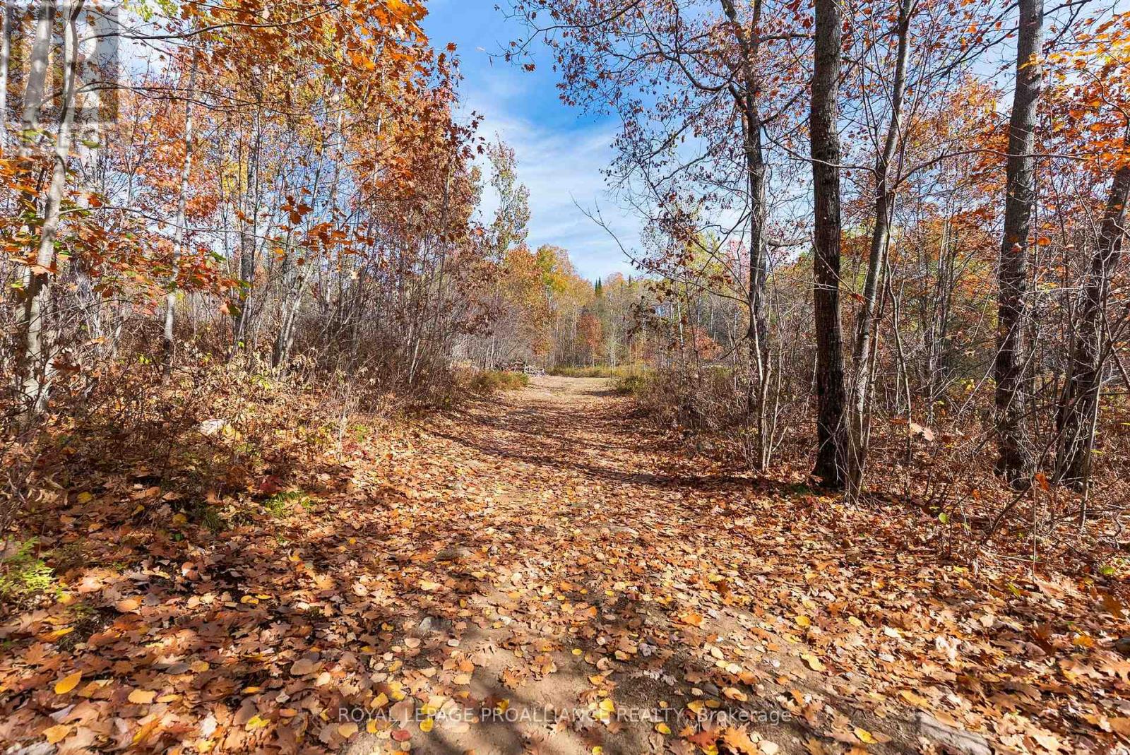732 Old Barry's Bay Road, Madawaska Valley, Ontario  K0J 1B0 - Photo 18 - X12463743
