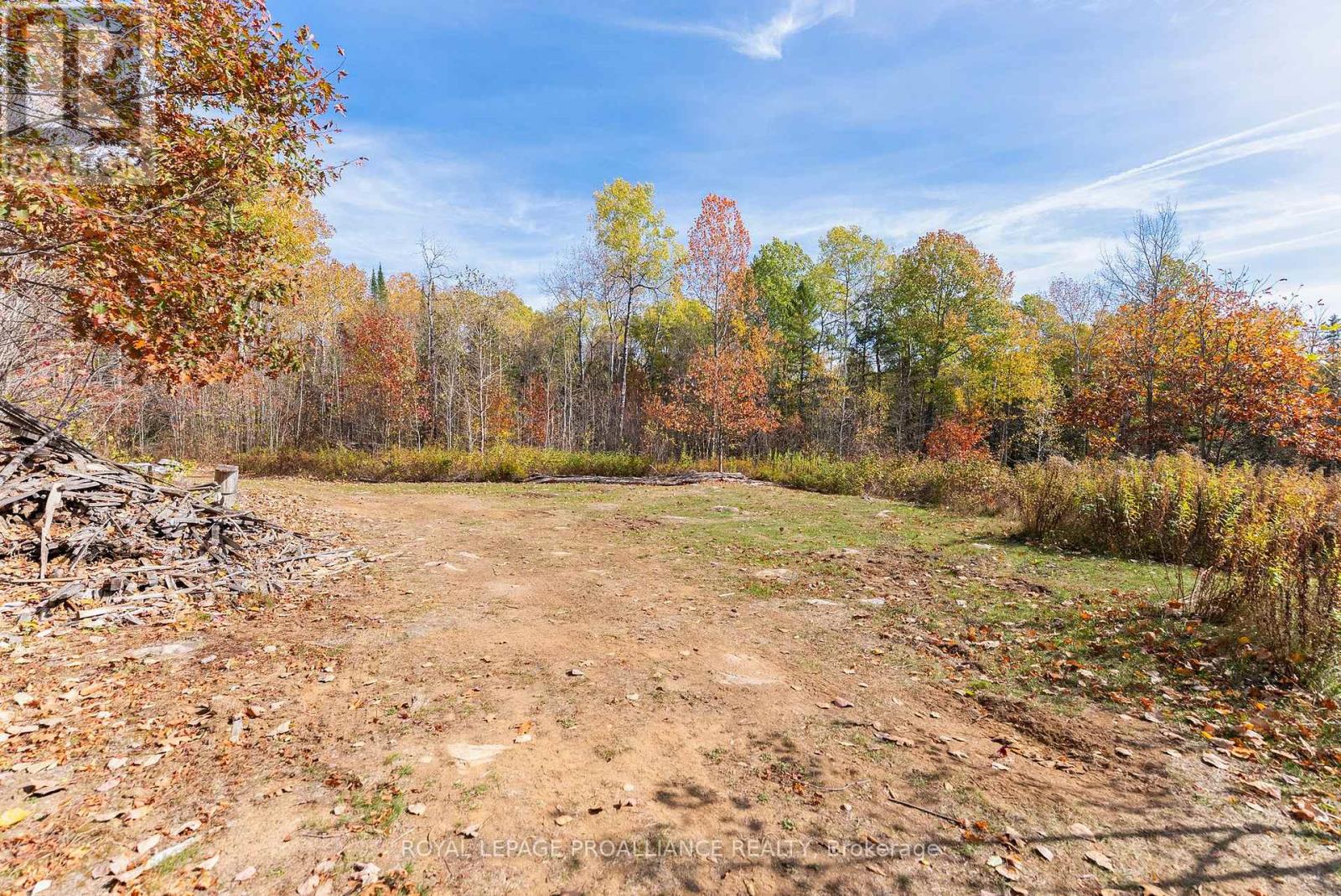 732 Old Barry's Bay Road, Madawaska Valley, Ontario  K0J 1B0 - Photo 19 - X12463743