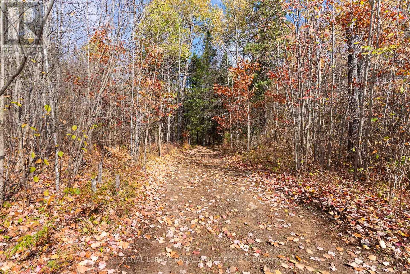 732 Old Barry's Bay Road, Madawaska Valley, Ontario  K0J 1B0 - Photo 20 - X12463743