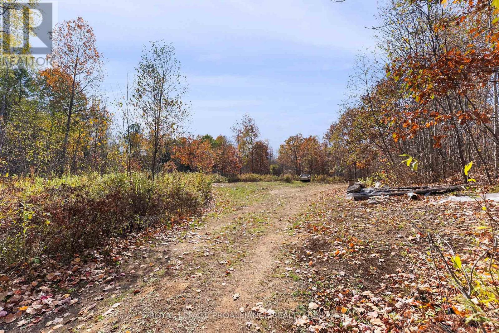 732 Old Barry's Bay Road, Madawaska Valley, Ontario  K0J 1B0 - Photo 21 - X12463743