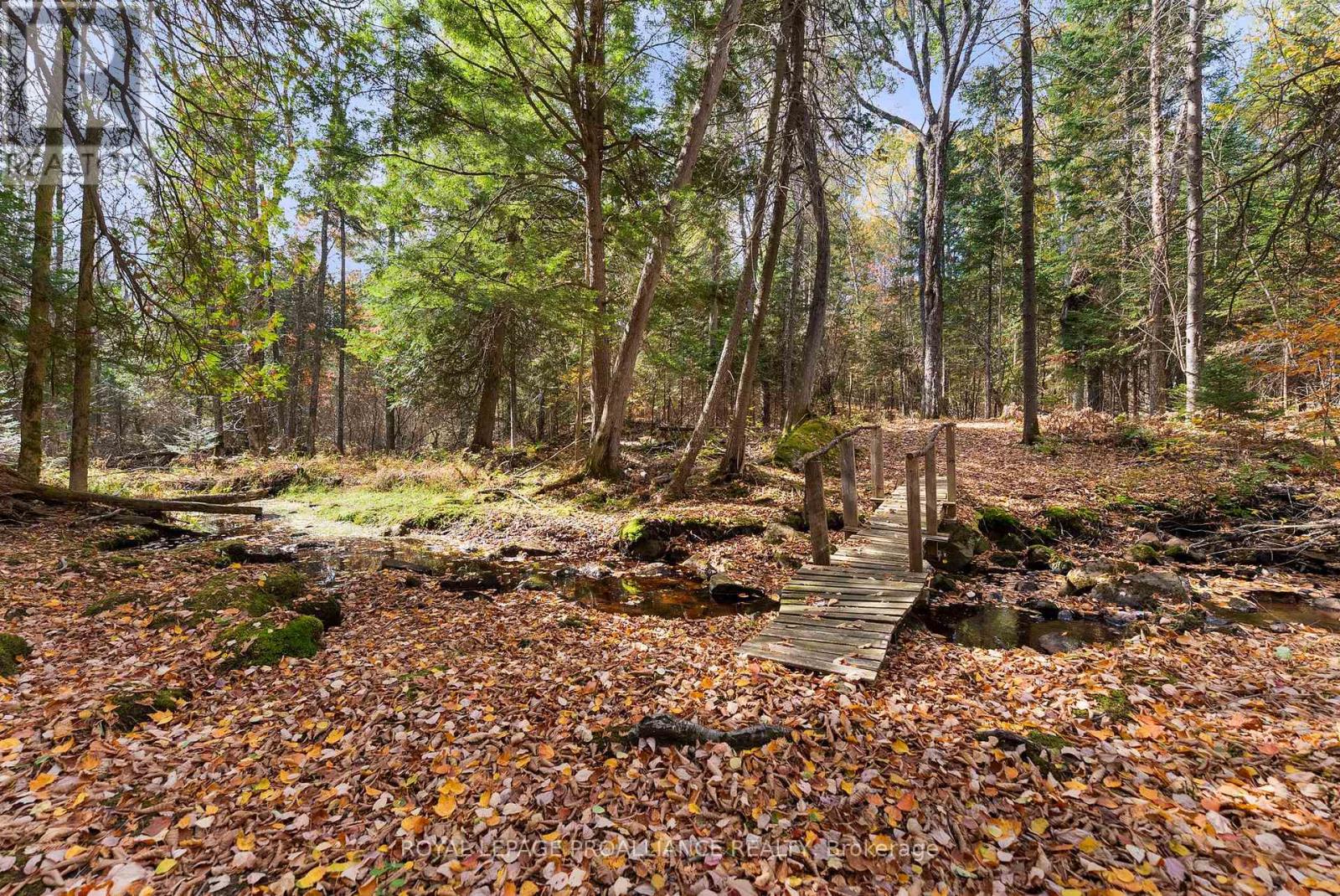 732 Old Barry's Bay Road, Madawaska Valley, Ontario  K0J 1B0 - Photo 22 - X12463743