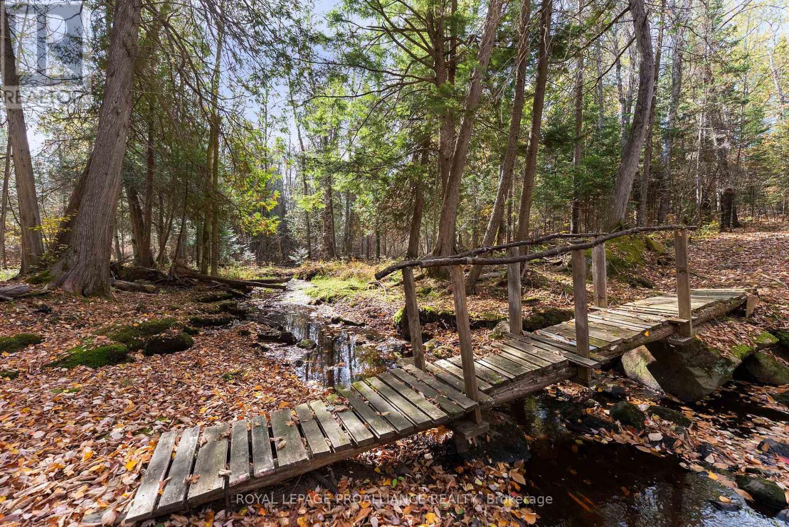 732 Old Barry's Bay Road, Madawaska Valley, Ontario  K0J 1B0 - Photo 23 - X12463743