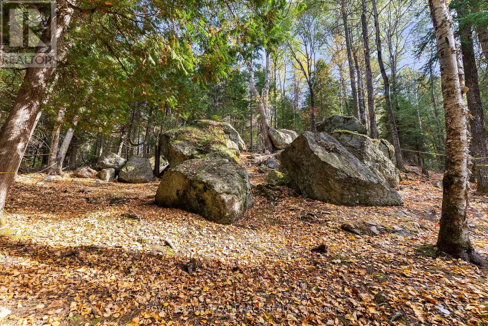 732 Old Barry's Bay Road, Madawaska Valley, Ontario  K0J 1B0 - Photo 24 - X12463743