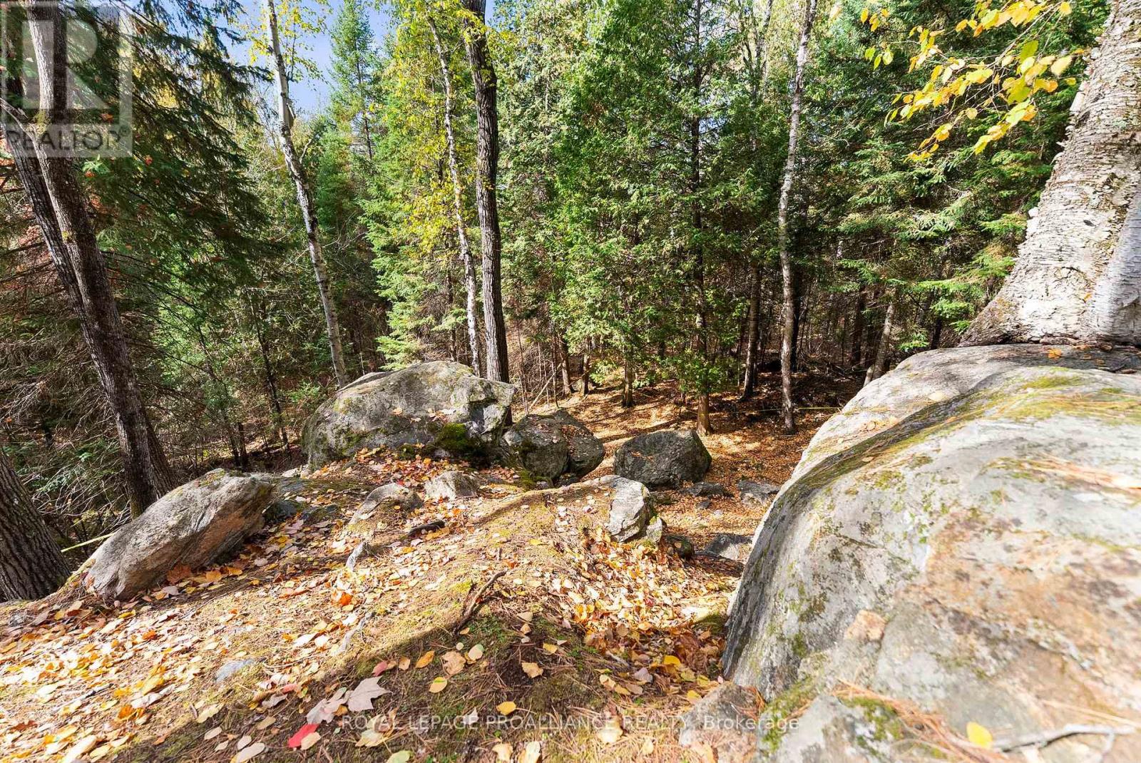 732 Old Barry's Bay Road, Madawaska Valley, Ontario  K0J 1B0 - Photo 26 - X12463743