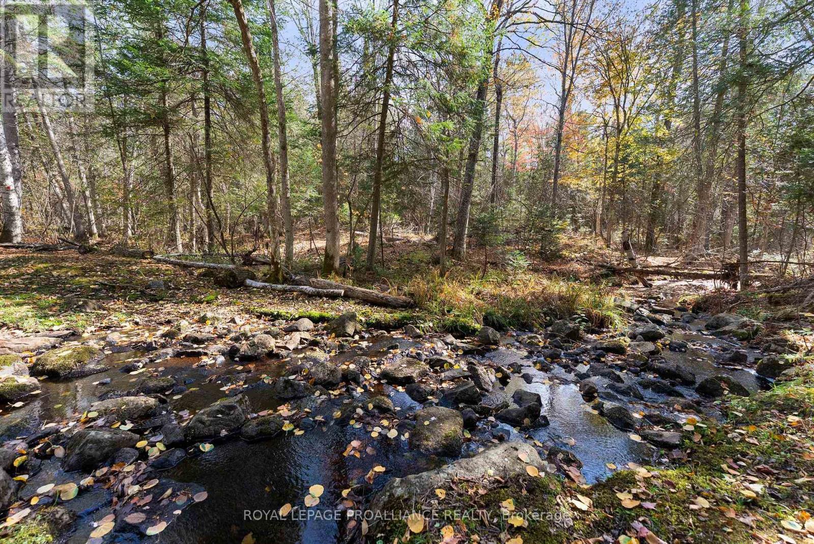 732 Old Barry's Bay Road, Madawaska Valley, Ontario  K0J 1B0 - Photo 27 - X12463743