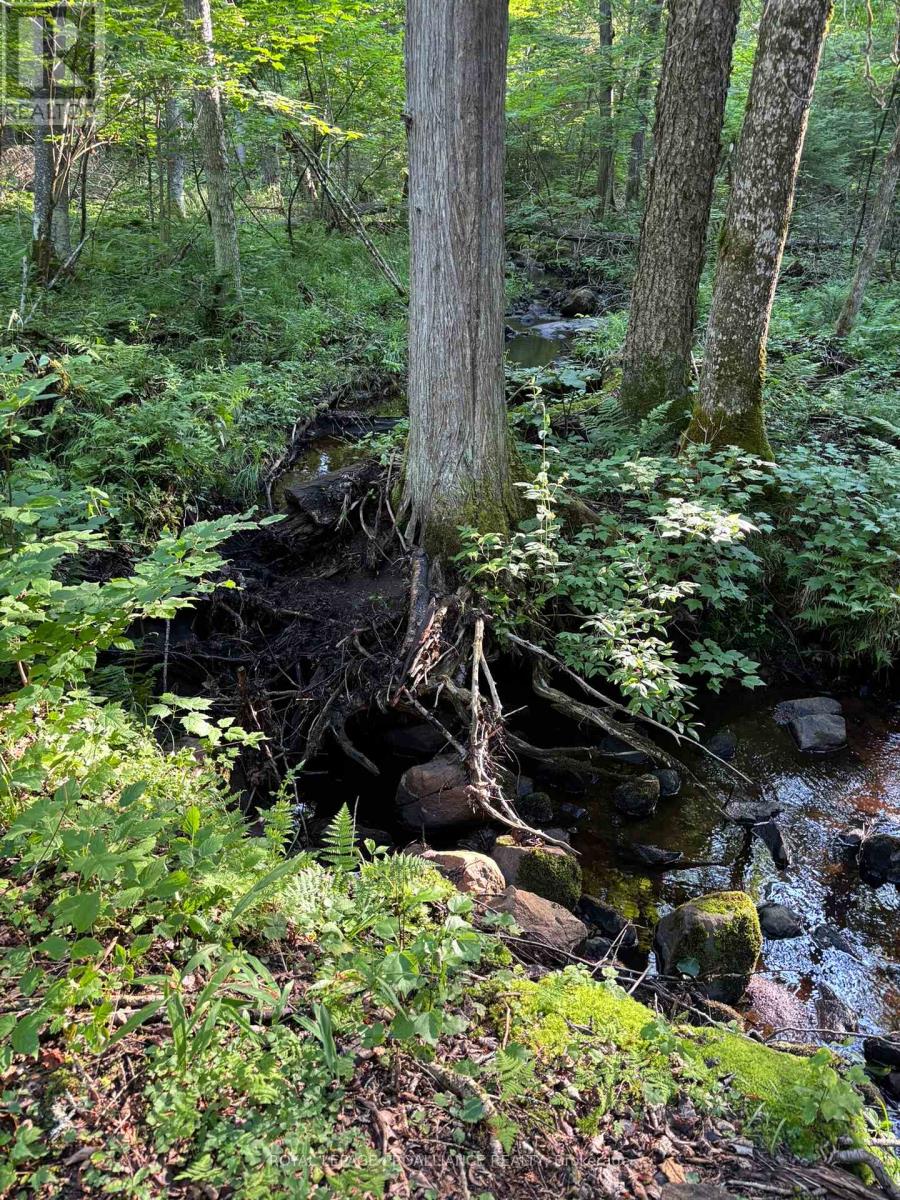 732 Old Barry's Bay Road, Madawaska Valley, Ontario  K0J 1B0 - Photo 28 - X12463743