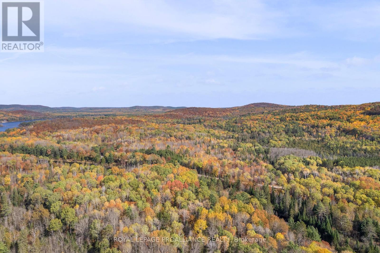 732 Old Barry's Bay Road, Madawaska Valley, Ontario  K0J 1B0 - Photo 3 - X12463743