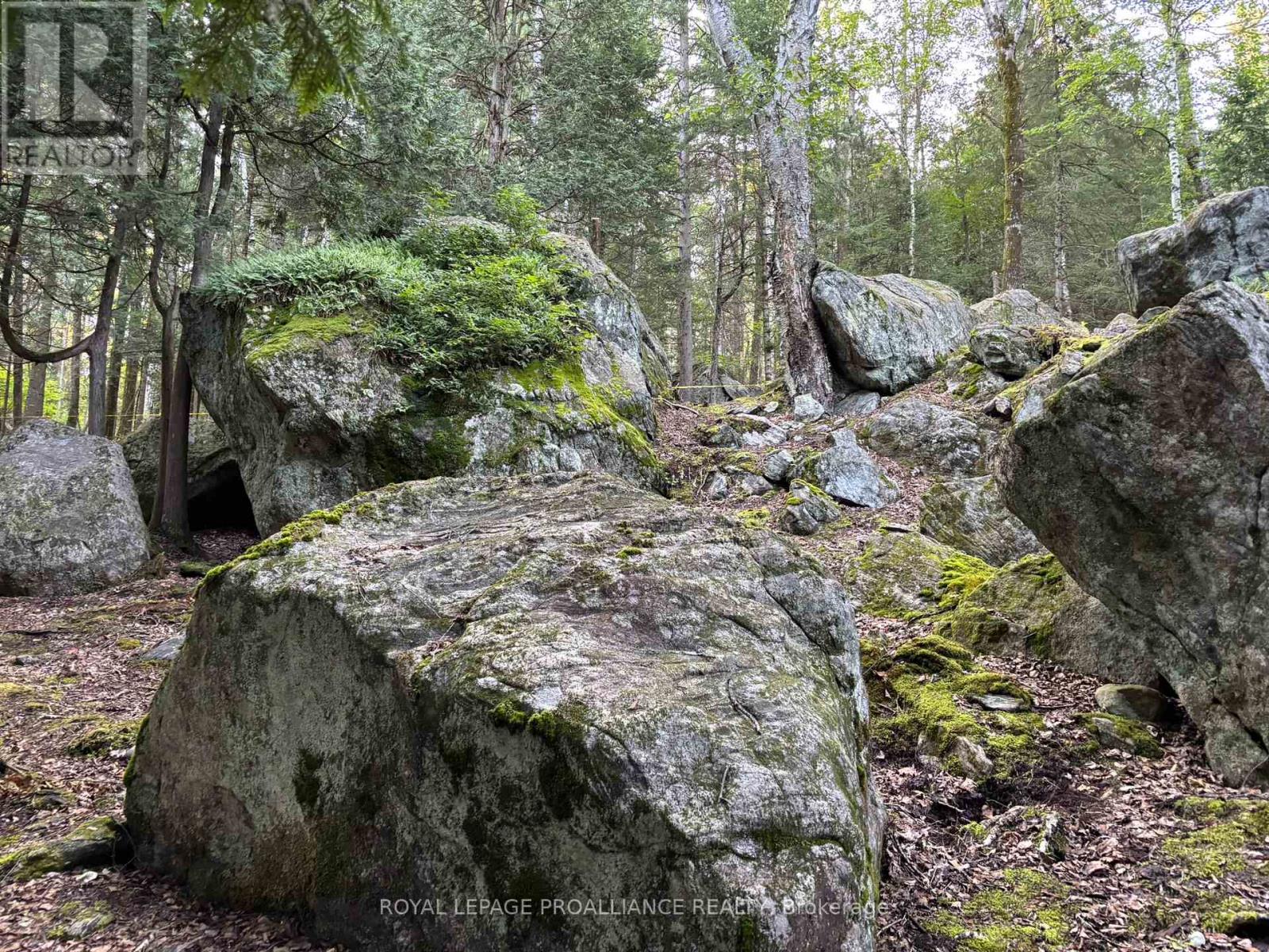 732 Old Barry's Bay Road, Madawaska Valley, Ontario  K0J 1B0 - Photo 35 - X12463743