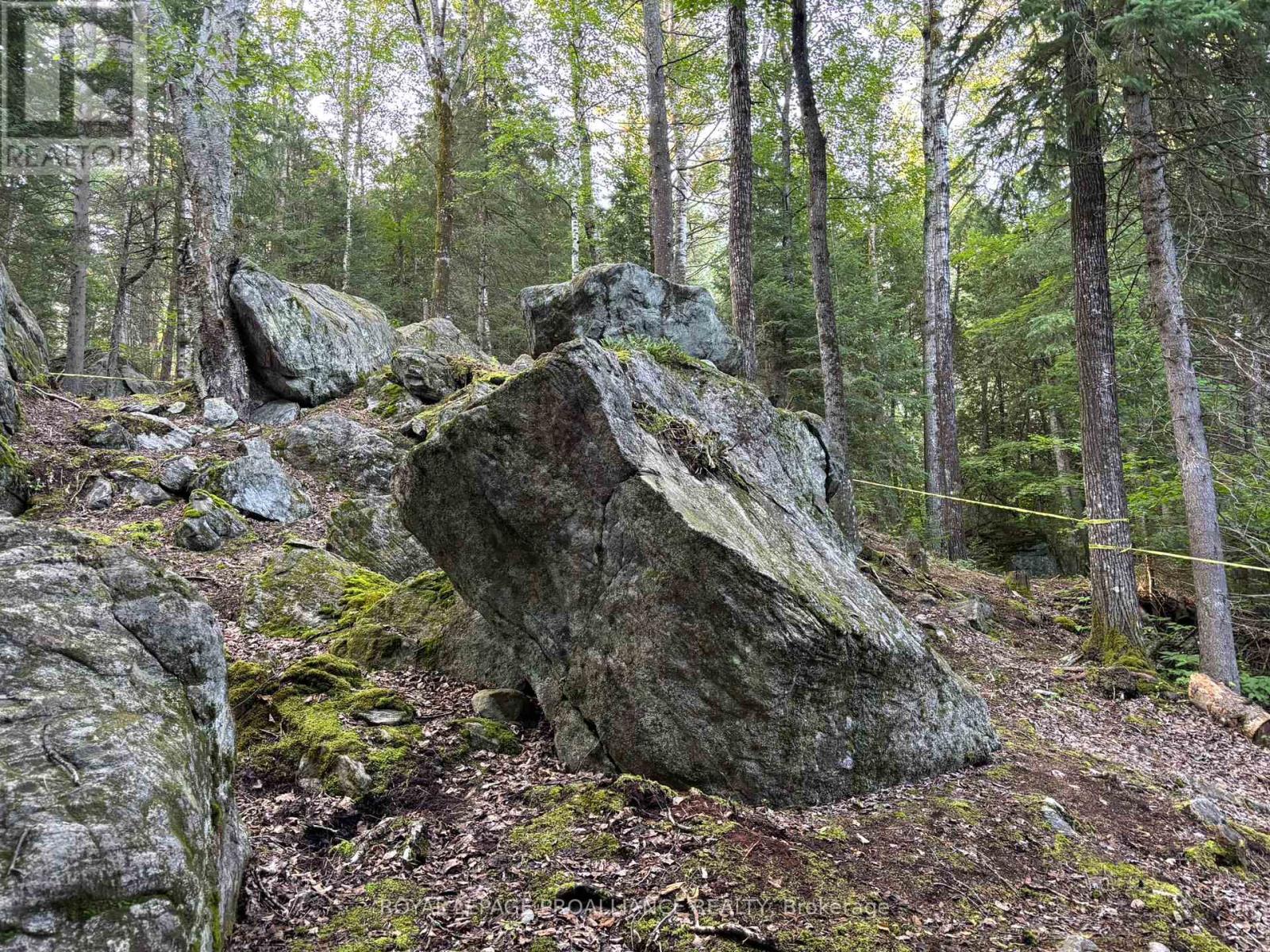 732 Old Barry's Bay Road, Madawaska Valley, Ontario  K0J 1B0 - Photo 36 - X12463743