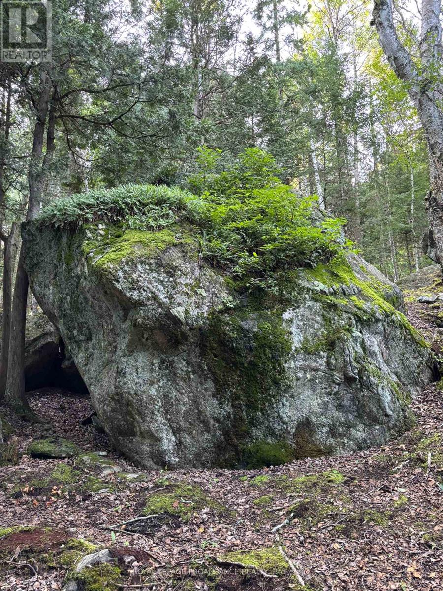 732 Old Barry's Bay Road, Madawaska Valley, Ontario  K0J 1B0 - Photo 37 - X12463743