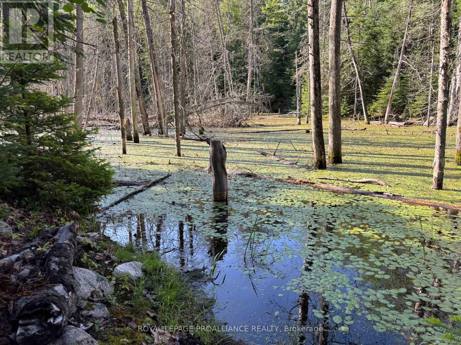 732 Old Barry's Bay Road, Madawaska Valley, Ontario  K0J 1B0 - Photo 41 - X12463743