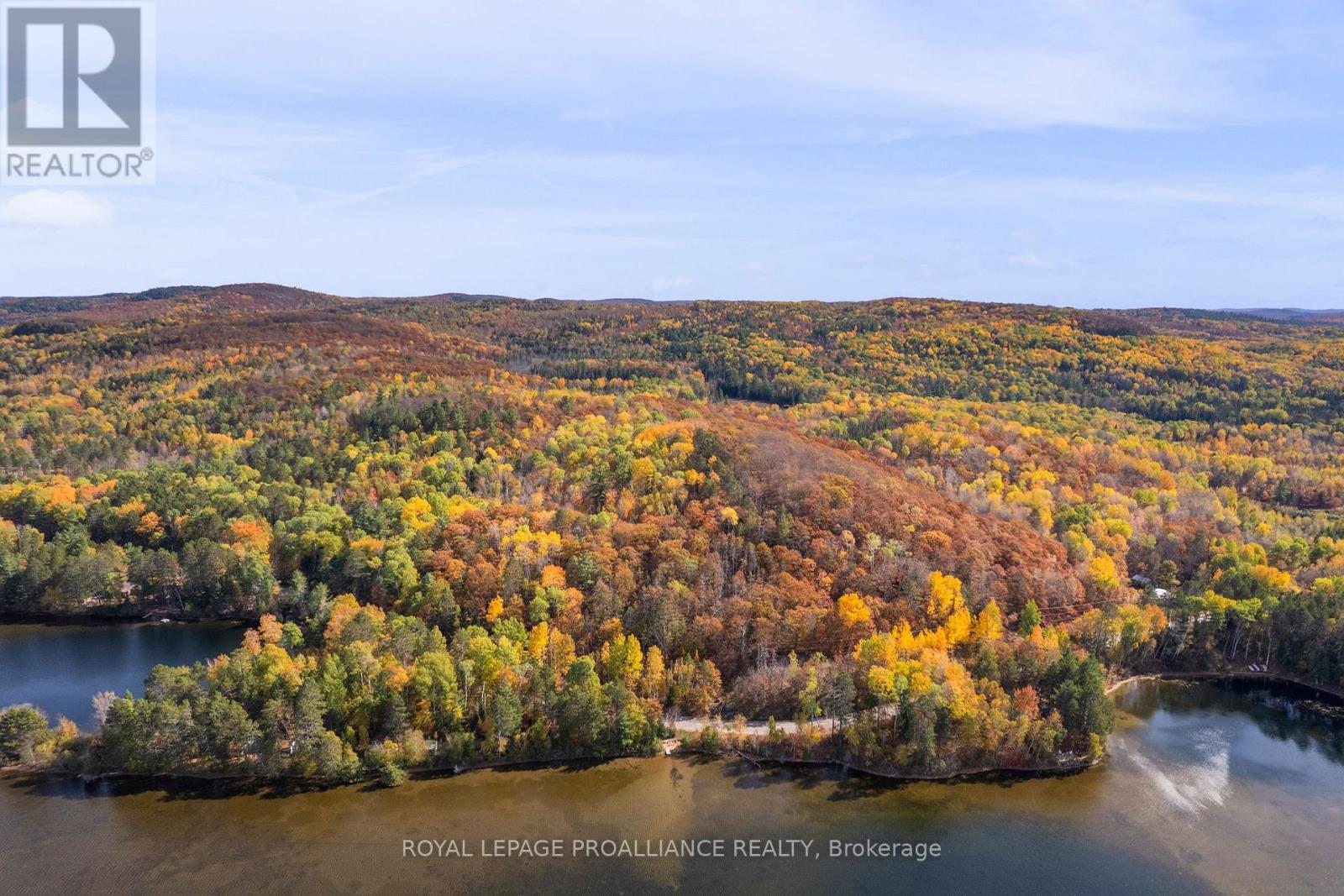 732 Old Barry's Bay Road, Madawaska Valley, Ontario  K0J 1B0 - Photo 5 - X12463743