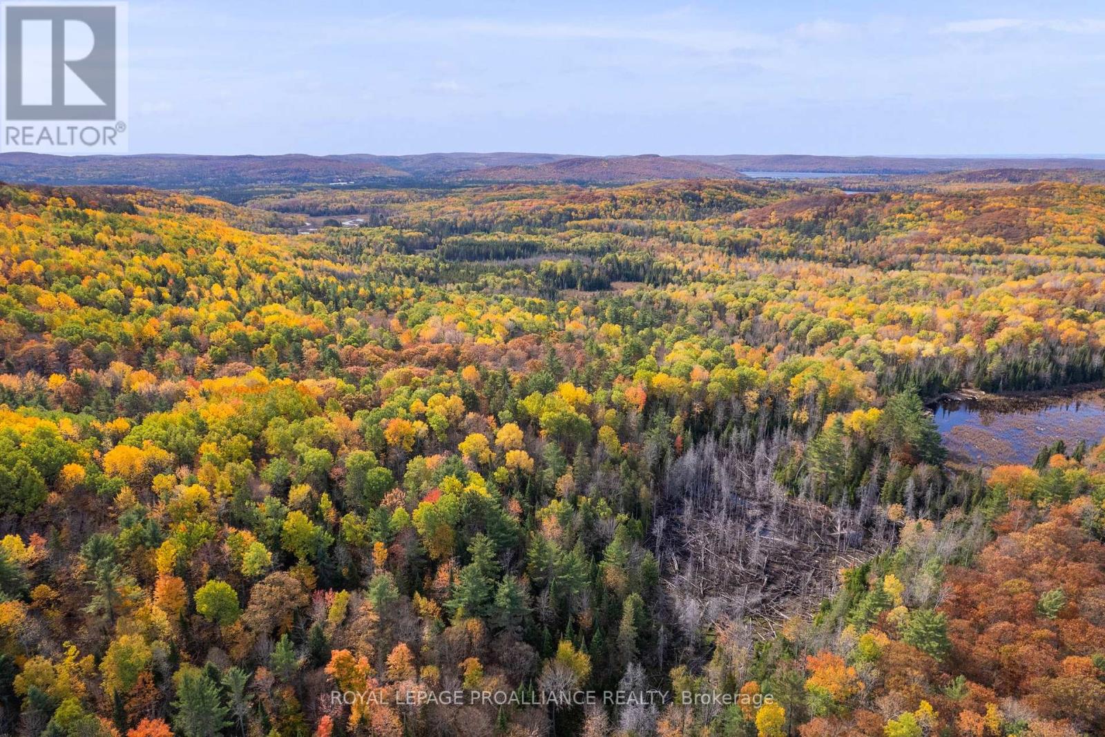 732 Old Barry's Bay Road, Madawaska Valley, Ontario  K0J 1B0 - Photo 9 - X12463743
