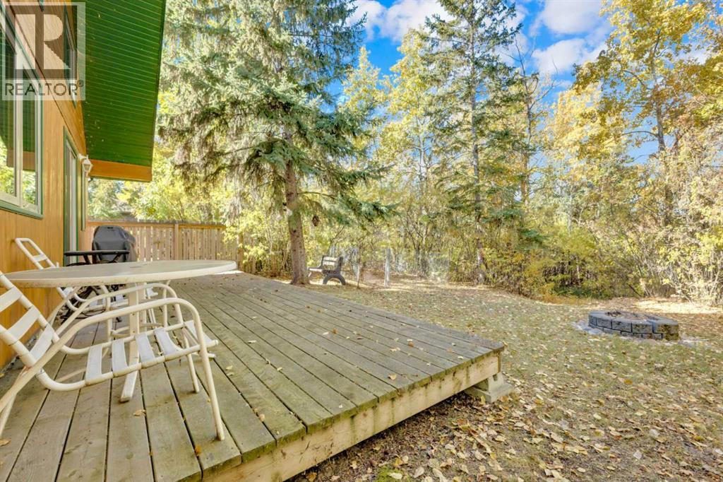 97 Oliver Avenue, Gull Lake, Alberta  T4L 2N1 - Photo 22 - A2264062