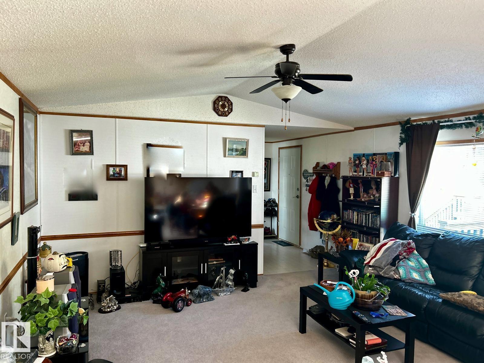 109 4 Street E, Rural Wetaskiwin County, Alberta  T0C 0T0 - Photo 9 - E4456737