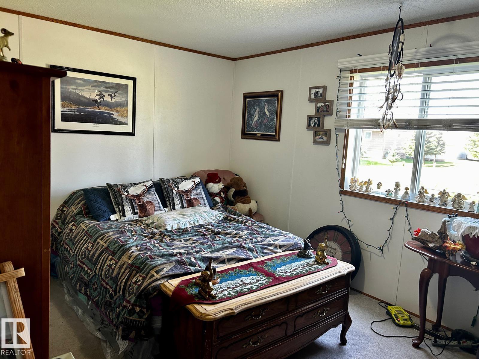 109 4 Street E, Rural Wetaskiwin County, Alberta  T0C 0T0 - Photo 13 - E4456737