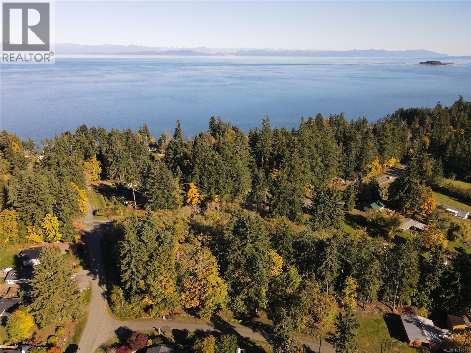 Lot 4 Island Hwy S, Royston, British Columbia  V9N 9T1 - Photo 4 - 1017516