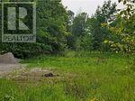 838 Harold Road, Stirling-Rawdon, Ontario  K0K 3E0 - Photo 3 - X12463864