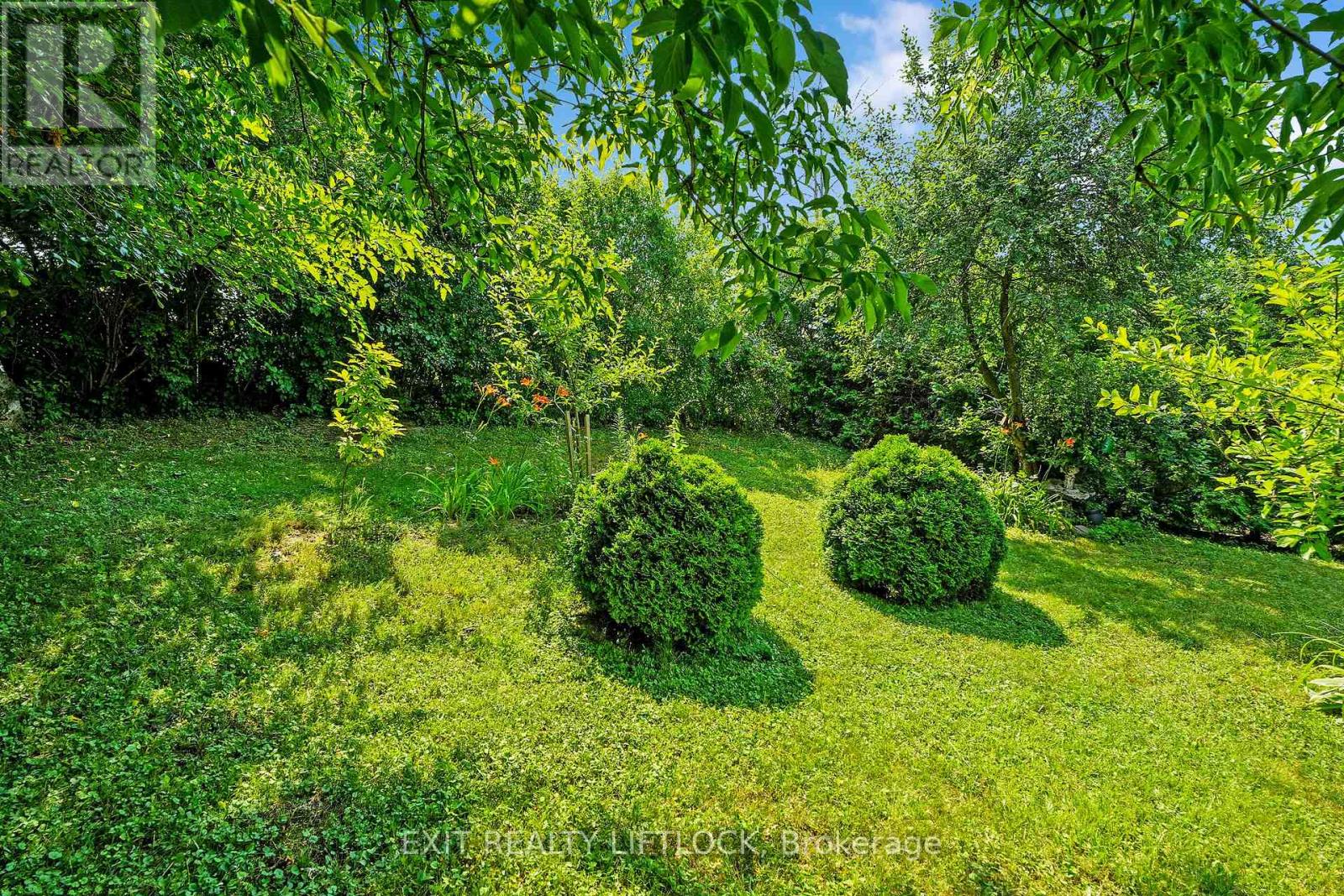 2102 Walker Avenue, Peterborough, Ontario  K9L 1S1 - Photo 40 - X12259976
