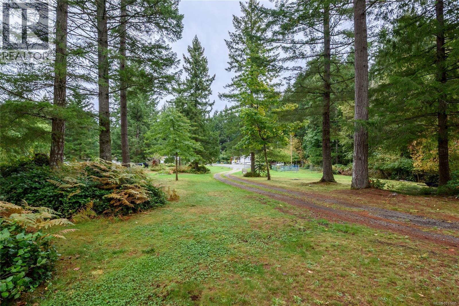 A/b 2826 Bruce Rd, Black Creek, British Columbia  V9J 1B7 - Photo 5 - 1017485
