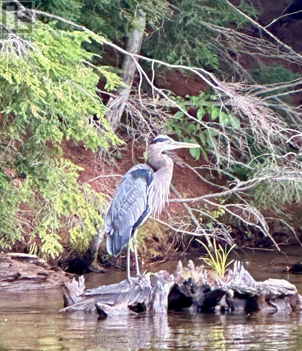 19 - 1 Crane Walker Road, The Archipelago, Ontario  P2A 0B7 - Photo 35 - X12165122