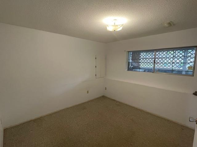 10977 Jay Crescent, Surrey, British Columbia  V3R 5B3 - Photo 16 - R3058615