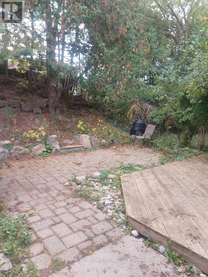 Bsmt - 795 Greenfield Crescent, Newmarket, Ontario  L3Y 3B2 - Photo 2 - N12441588