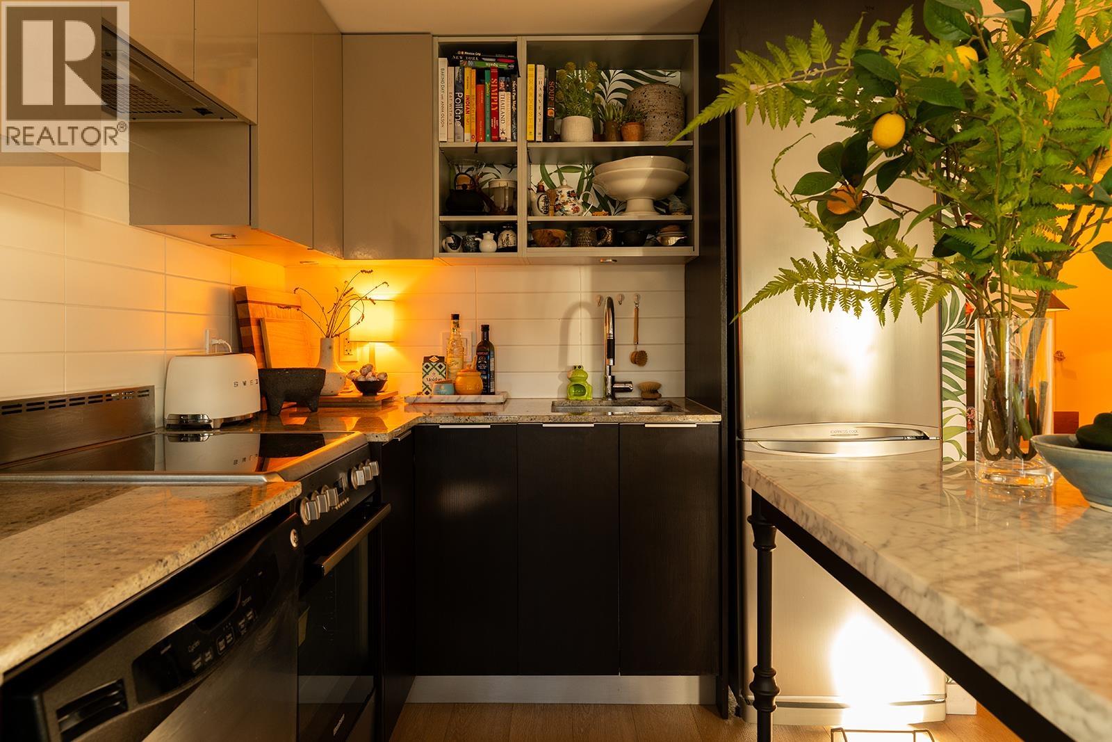 402 445 W 2nd Avenue, Vancouver, British Columbia  V5Y 0E8 - Photo 6 - R3058889