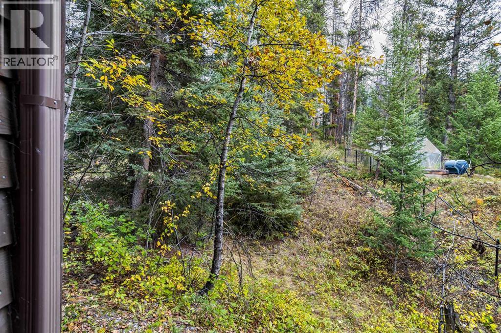 147 Benchlands Terrace S, Canmore, Alberta  T1W 1G2 - Photo 38 - A2264242