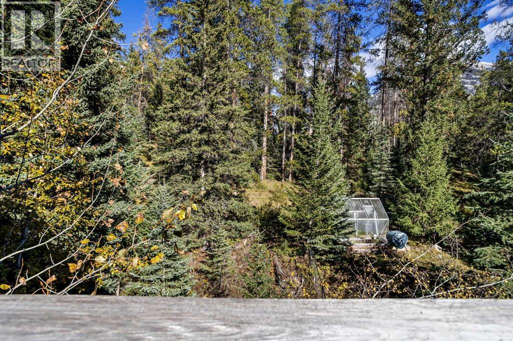 147 Benchlands Terrace S, Canmore, Alberta  T1W 1G2 - Photo 46 - A2264242
