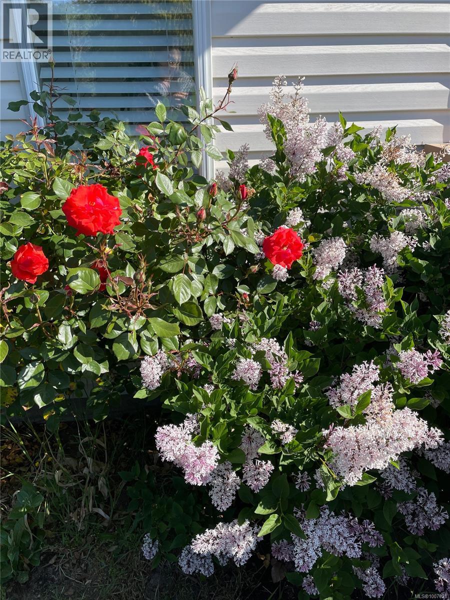 749 Marchmont Rd, Duncan, British Columbia  V9L 2L9 - Photo 30 - 1007021