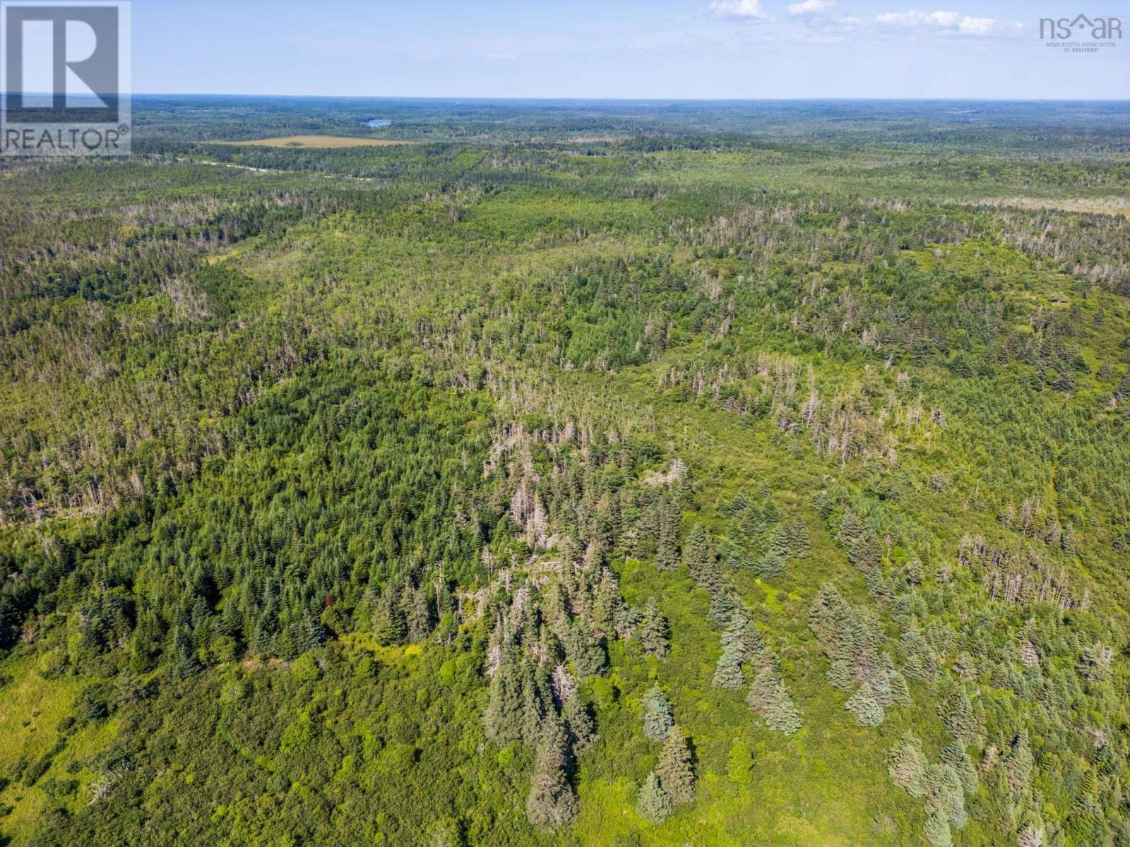 5192 Highway 1, Salmon River, Nova Scotia  B5A 5B2 - Photo 15 - 202520233