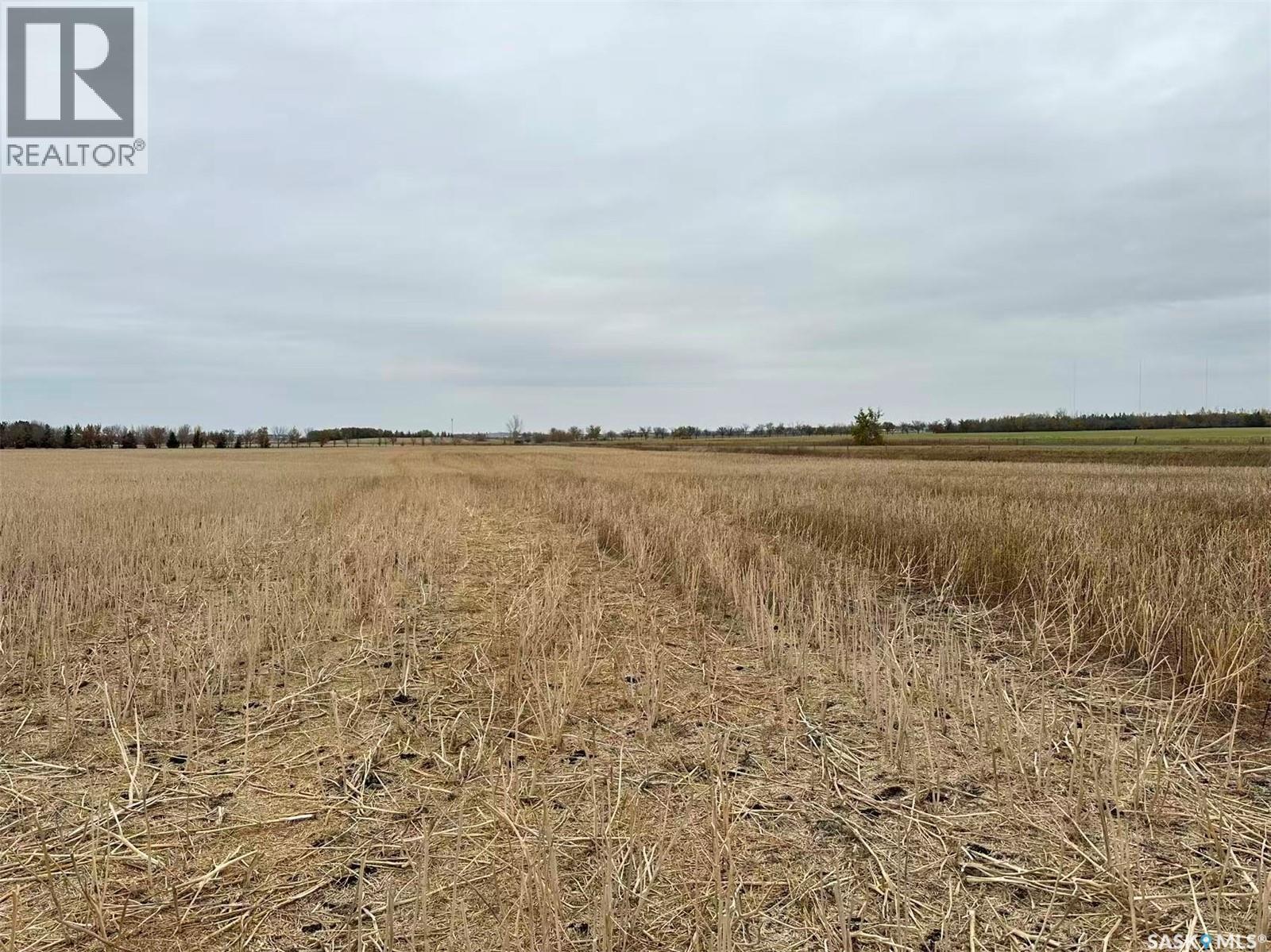 Bach And Ha Farm, Corman Park Rm No. 344, Saskatchewan  S7V 0L2 - Photo 16 - SK020820
