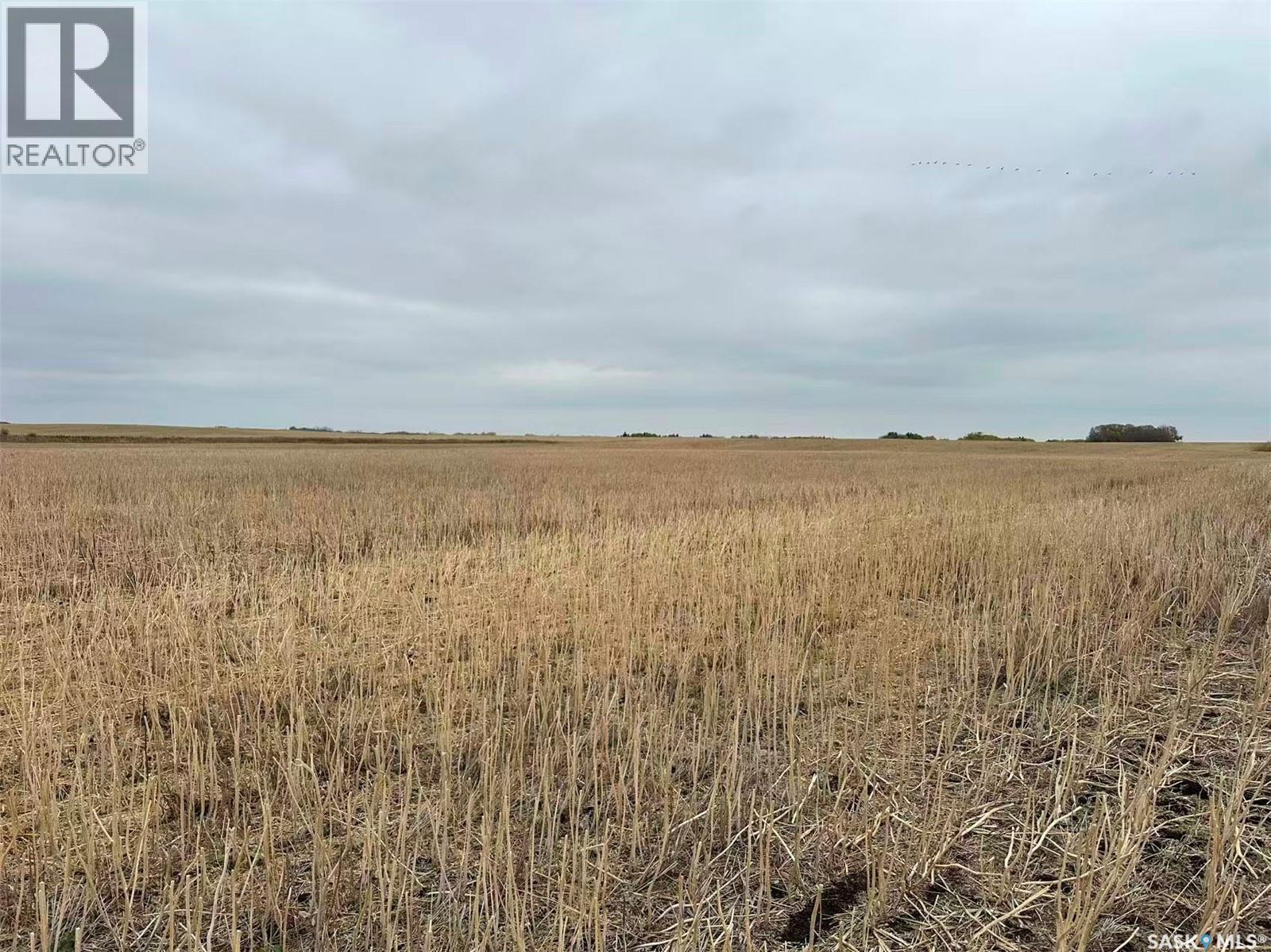 Bach And Ha Farm, Corman Park Rm No. 344, Saskatchewan  S7V 0L2 - Photo 6 - SK020820