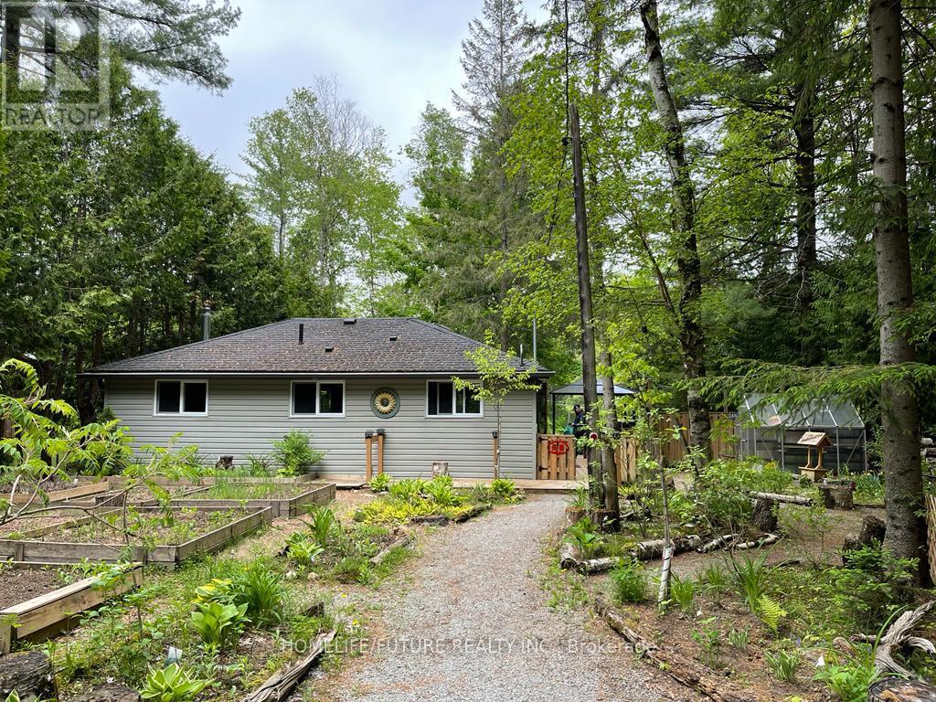 179 Stanley Road, Kawartha Lakes, Ontario  K0M 2T0 - Photo 2 - X12464463