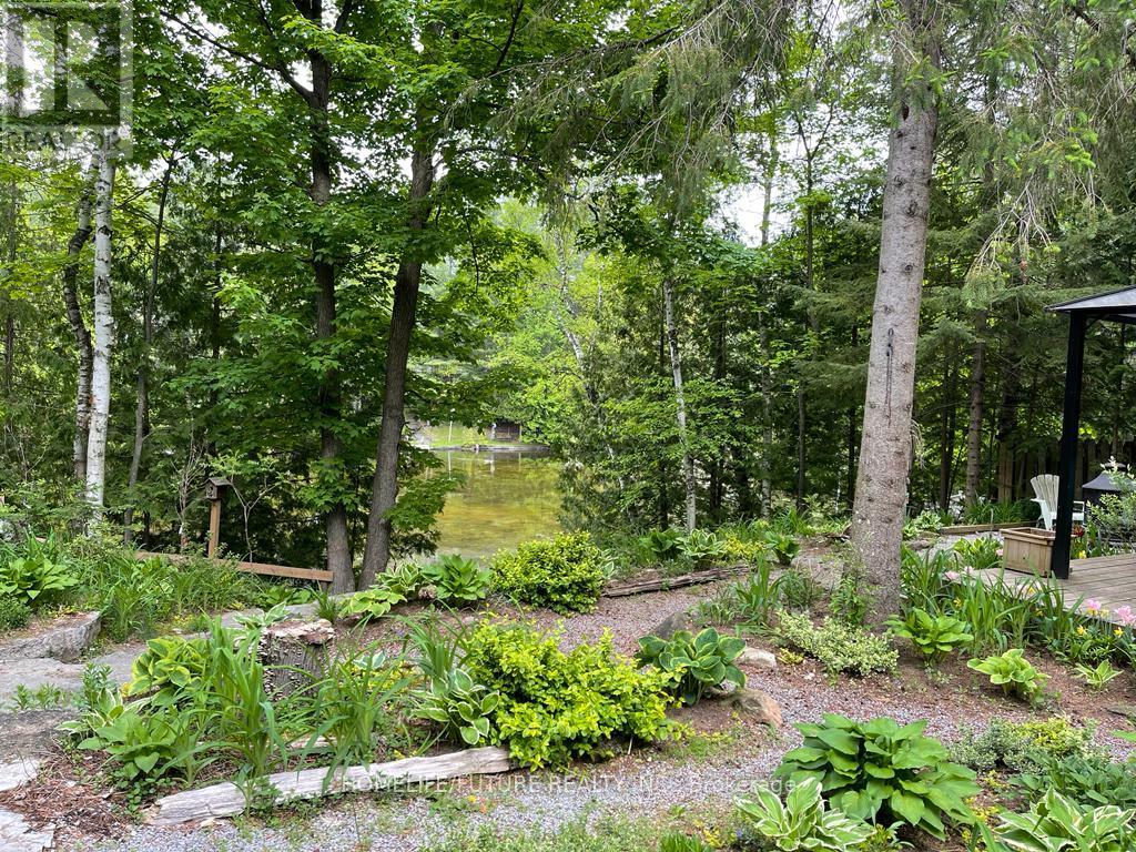 179 Stanley Road, Kawartha Lakes, Ontario  K0M 2T0 - Photo 20 - X12464463