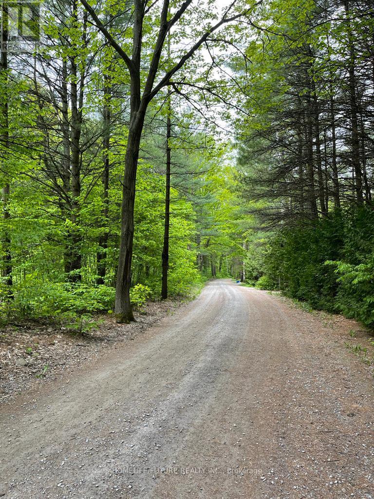 179 Stanley Road, Kawartha Lakes, Ontario  K0M 2T0 - Photo 3 - X12464463