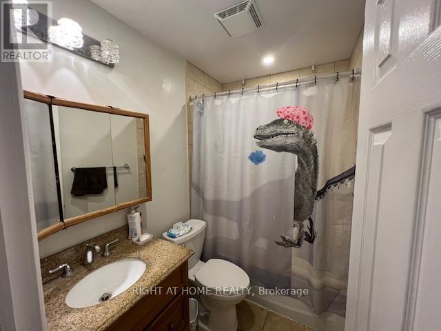 236 Silverbirch Drive, Newmarket, Ontario  L3Y 2Z5 - Photo 14 - N12464588
