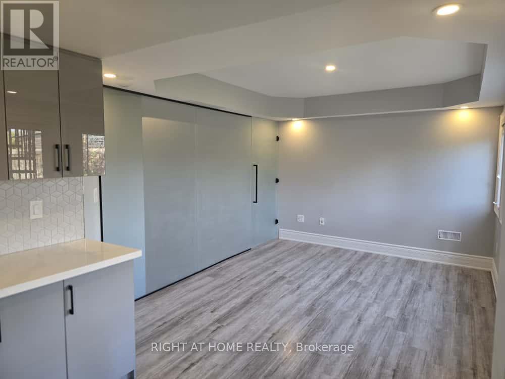 Bsmt - 192 Mclaughlin Avenue, Milton, Ontario  L9T 7P4 - Photo 5 - W12464516