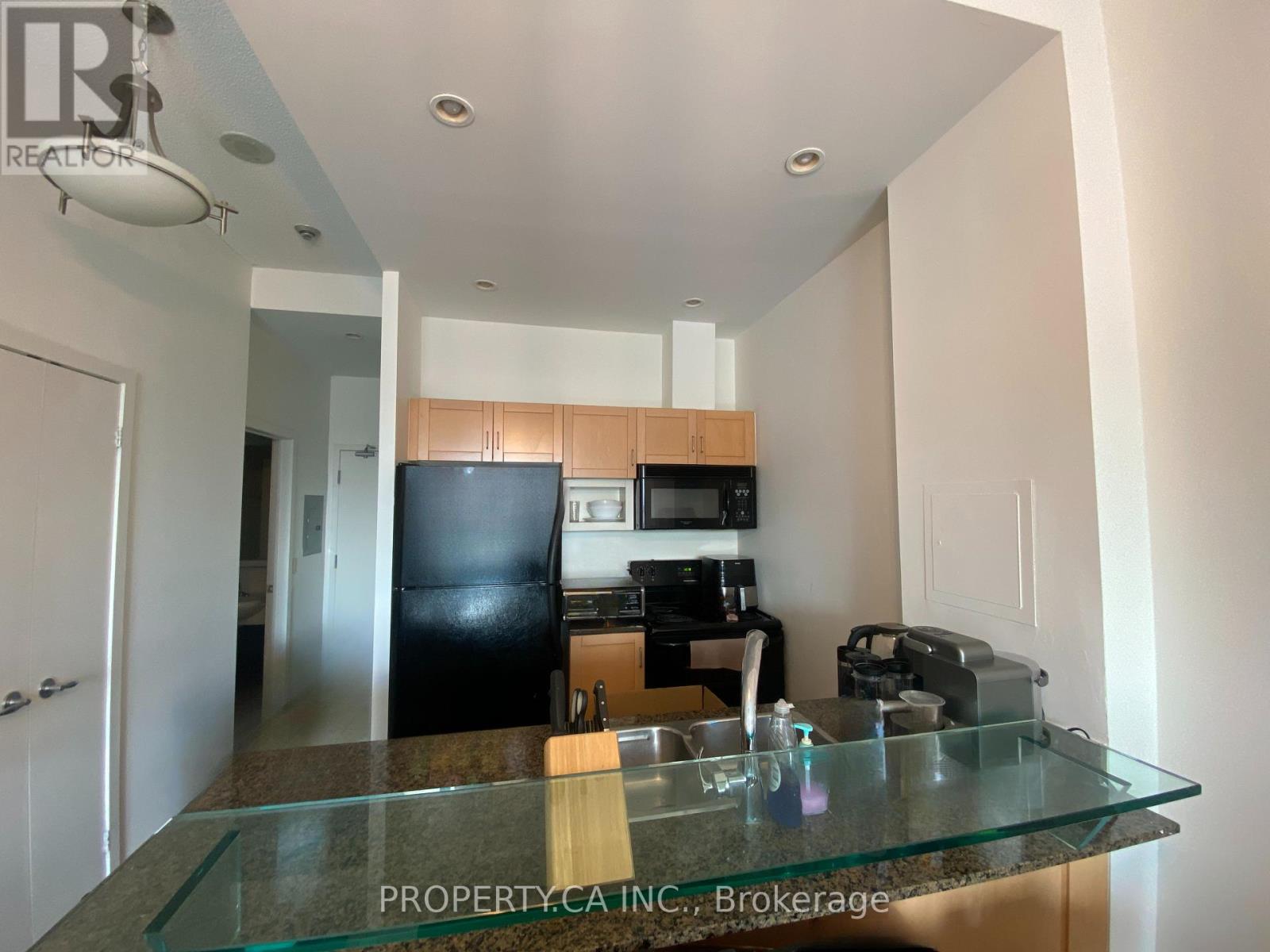215 - 208 Queens Quay W, Toronto, Ontario  M5J 2Y5 - Photo 4 - C12464633