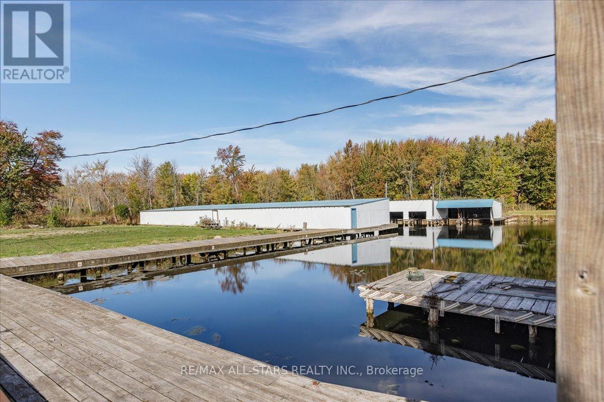 1354 Metro Road, Georgina, Ontario  L0E 1S0 - Photo 31 - N12464714