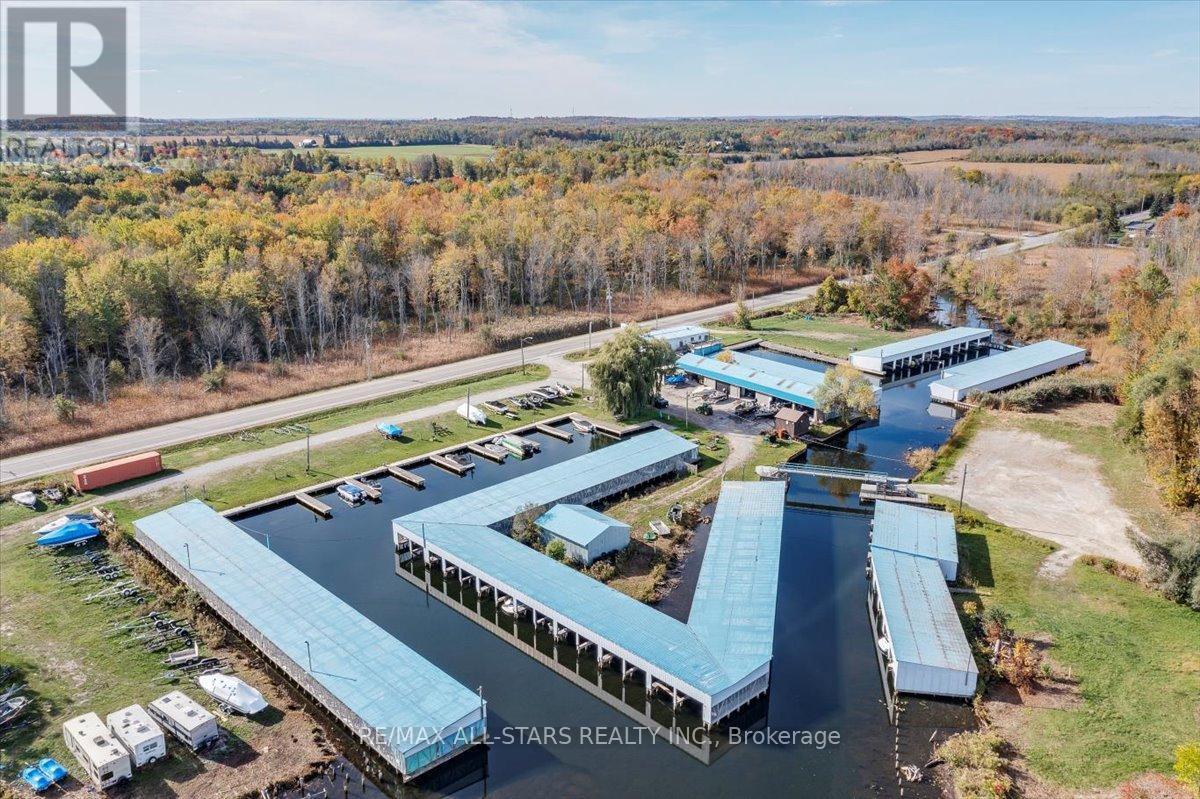 1354 Metro Road, Georgina, Ontario  L0E 1S0 - Photo 4 - N12464714