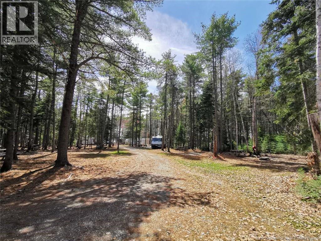 506-512 Route 11, Newcastle, New Brunswick  E1V 7G1 - Photo 10 - NB128575